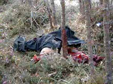 NATO genocide not seen so far