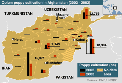 Opium poppy cultivation in Afghanistan, 2002-2003